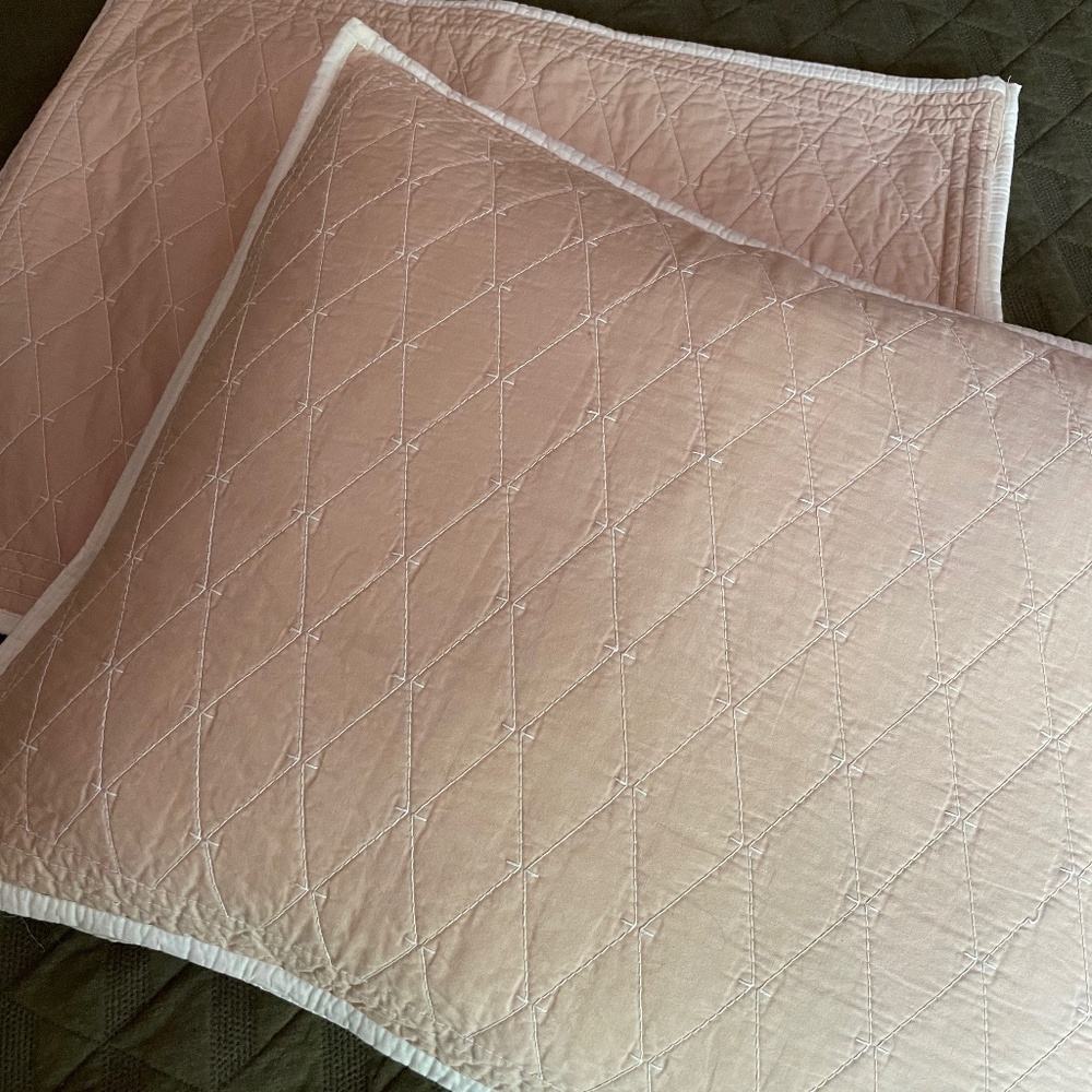 Martha Stewart Collection (2) Pillow Shams